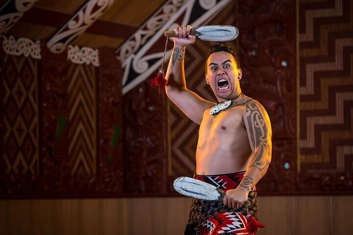 Waitomo Glow Worm Caves & Te Puia (Rotorua) Private Tour - Photo 1 of 25